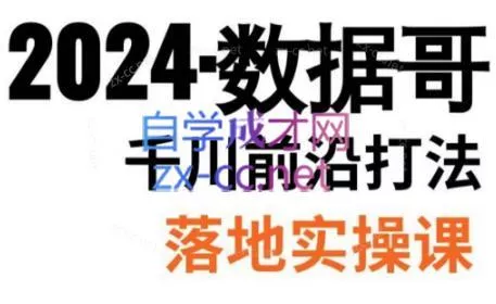数据哥·2024年千川前沿打法落地实操课-山河网创