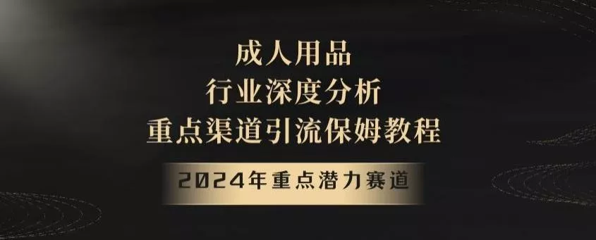 2024年重点潜力赛道，成人用品行业深度分析，重点渠道引流保姆教程【揭秘】-山河网创