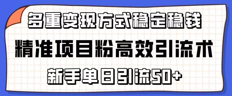 精准项目粉高效引流术，新手单日引流50+，多重变现方式稳定赚钱【揭秘】-山河网创