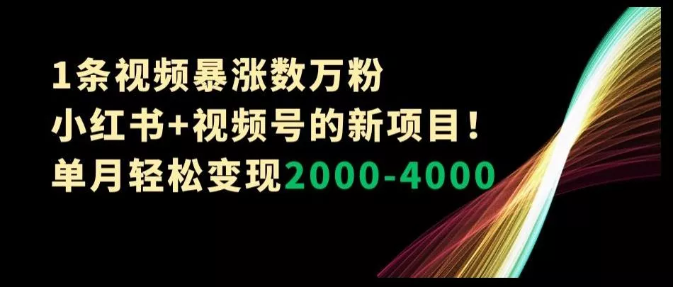 1条视频暴涨数万粉–小红书+视频号的新项目！单月轻松变现2000-4000【揭秘】-山河网创