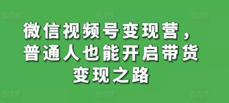 微信视频号变现营，普通人也能开启带货变现之路-山河网创