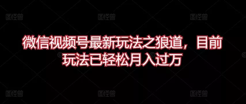 微信视频号最新玩法之狼道，目前玩法已轻松月入过万【揭秘】-山河网创