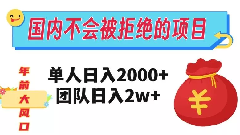 在国内不怕被拒绝的项目，单人日入2000，团队日入20000+【揭秘】-山河网创