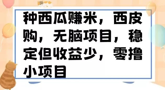 种西瓜赚米，西皮购稳定长久零撸小项目-山河网创