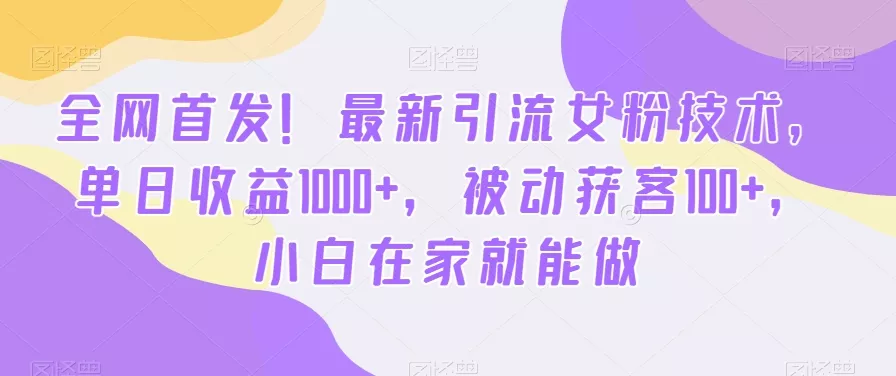 全网首发！最新引流女粉技术，单日收益1000+，被动获客100+，小白在家就能做【揭秘】-山河网创