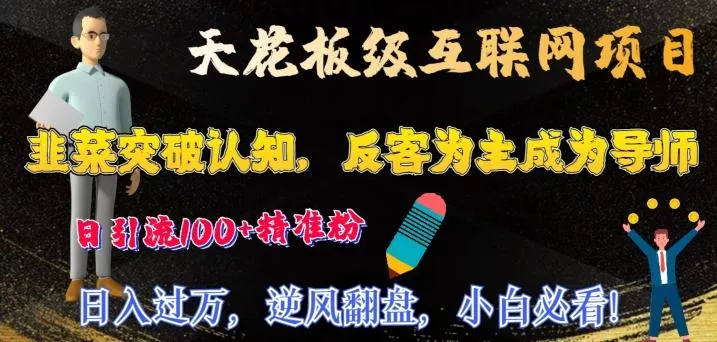 天花板级互联网项目，韭菜突破认知，反客为主成为导师，日引流100+精准粉-山河网创