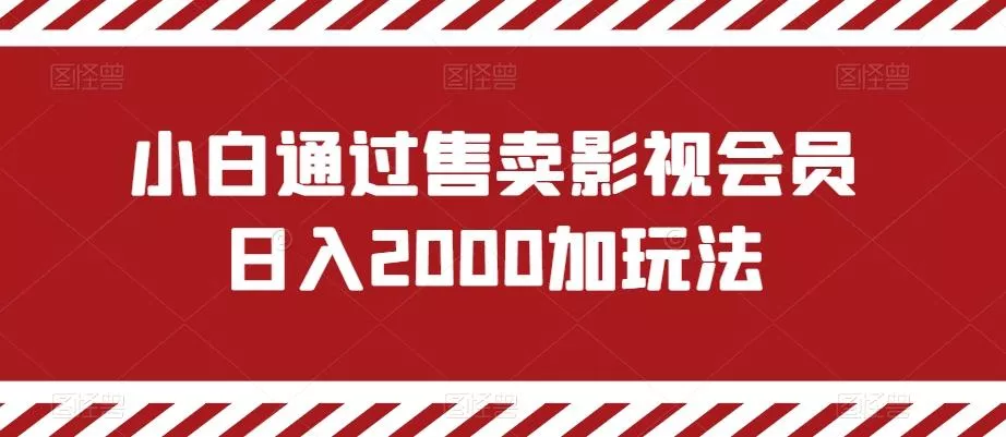 小白通过售卖影视会员日入2000加玩法-山河网创