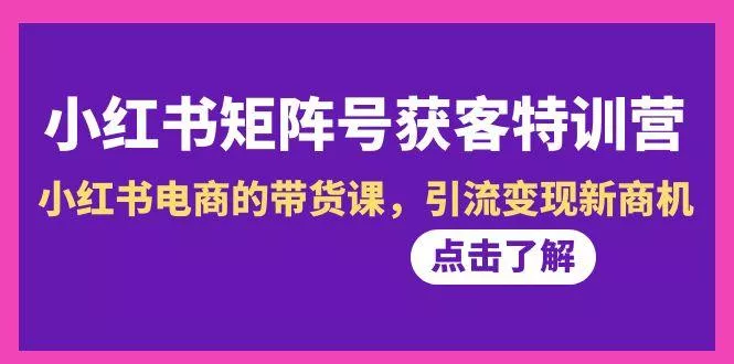 小红书-矩阵号获客特训营-第10期，小红书电商的带货课，引流变现新商机-山河网创