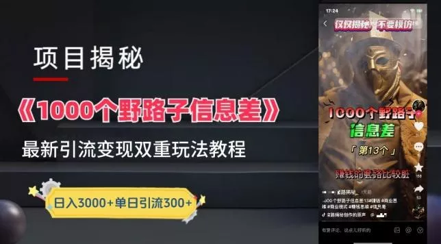一千个野路子信息差最新玩法教程-变现+引流的玩法具体拆解【揭秘】-山河网创