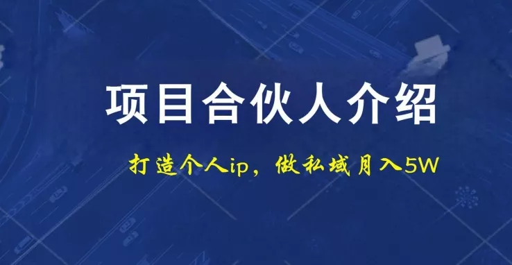 项目合伙人项目，打造个人IP，做私域月入5W，小白勿扰-山河网创