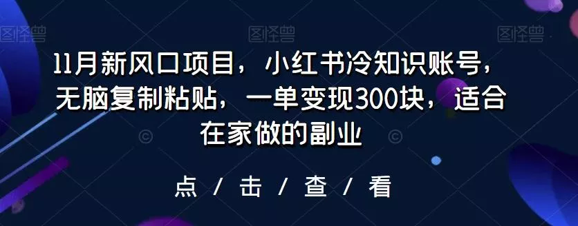 11月新风口项目，小红书冷知识账号，无脑复制粘贴，一单变现300块，适合在家做的副业-山河网创
