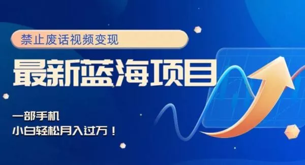 最新蓝海项目，靠禁止废话视频变现，一部手机，小白轻松月入过万！-山河网创