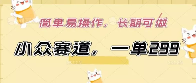 小众赛道，一单299.简单易操作，长期可做【揭秘】-山河网创
