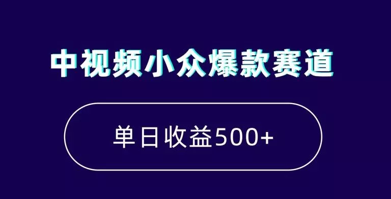 中视频小众爆款赛道，7天涨粉5万+，小白也能无脑操作，轻松月入上万【揭秘】-山河网创