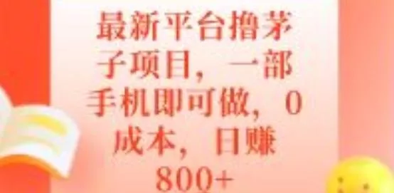 最新平台撸茅子项目，一部手机即可做，0成本，日赚800+-山河网创