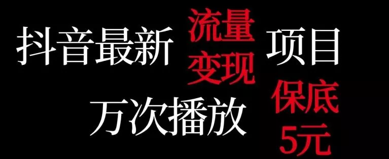 抖音流量变现，万次播放保底5元，额外收入-山河网创