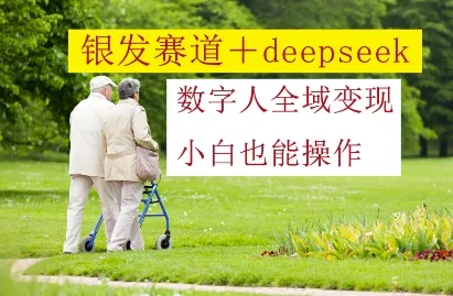 银发赛道+deepseek数字人全域变现，小白也能操作-山河网创