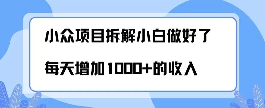 小众项目拆解，小白做好了每天可增加1000多的收入-山河网创