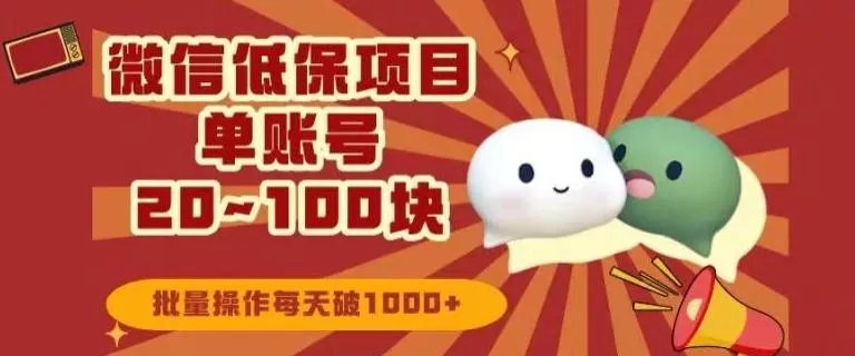 微信领低保单账号20元-100元，批量操作每天破1000+-山河网创