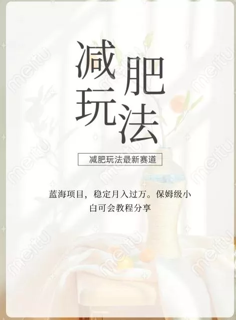 减肥流量主新玩法，轻松月入1W，可矩阵操作收入翻倍-山河网创