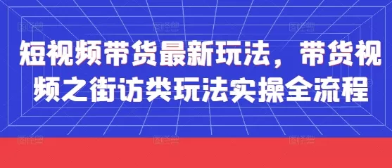 短视频带货最新玩法，带货视频之街访类玩法实操全流程-山河网创