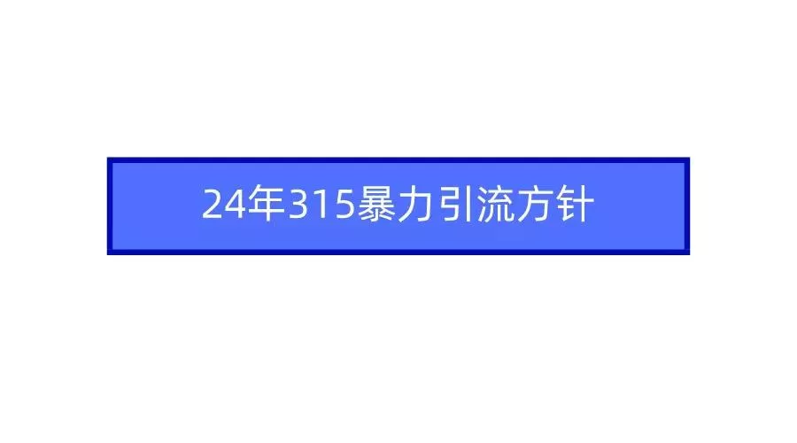 (9398期)2024年315暴力引流方针-山河网创
