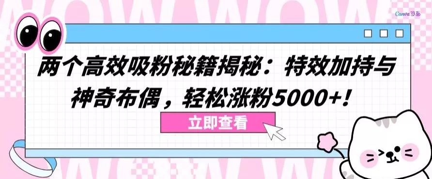 两个高效吸粉秘籍揭秘：特效加持与神奇布偶，轻松涨粉5000+【揭秘】-山河网创