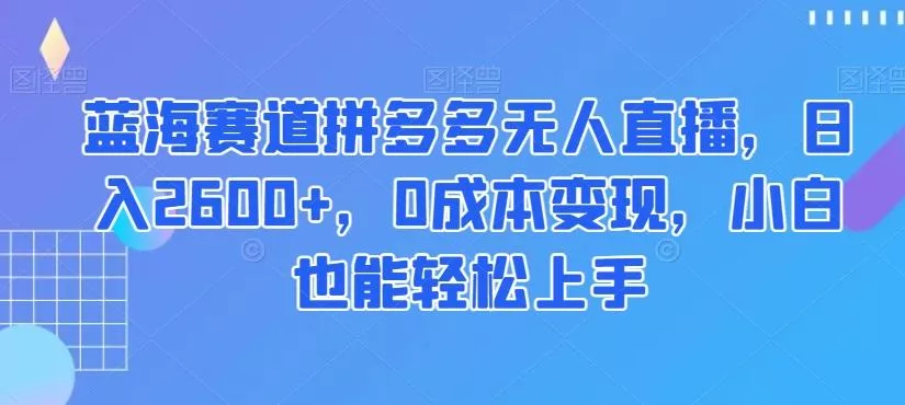 蓝海赛道拼多多无人直播，日入2600+，0成本变现，小白也能轻松上手【揭秘】-山河网创
