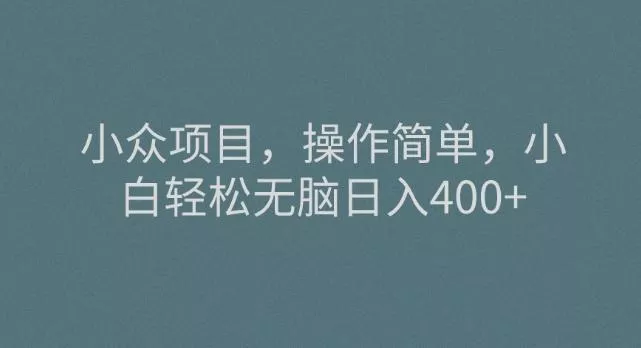 小众项目，操作简单，小白轻松无脑日入400+-山河网创