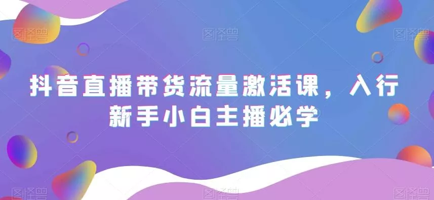 抖音直播带货流量激活课，入行新手小白主播必学-山河网创