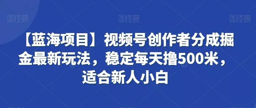 【蓝海项目】视频号创作者分成掘金最新玩法，稳定每天撸500米，适合新人小白【揭秘】-山河网创