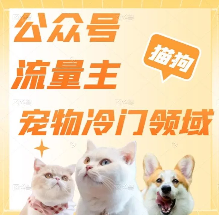 公众号流量主，萌宠冷门领域，单日收益2000+，简单暴力掘金，矩阵操作，无限放大收益！-山河网创