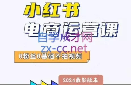 达哥·小红书电商运营(2024版)-山河网创