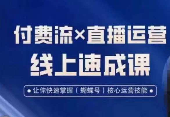视频号付费流实操课程，付费流✖️直播运营速成课，让你快速掌握视频号核心运营技能-山河网创