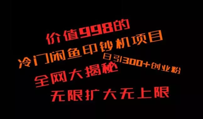 闲鱼流量印钞机项目大揭秘，日引300+创业粉，保姆级实操教程-山河网创