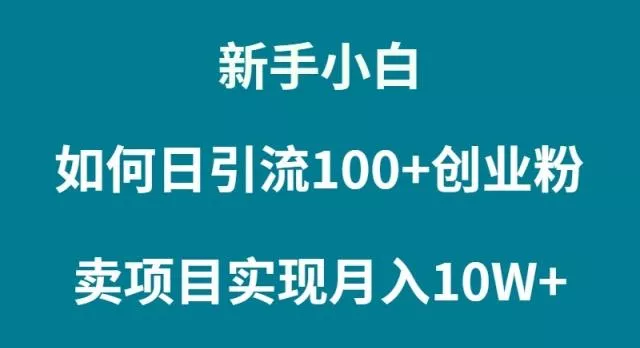 (9556期)新手小白如何通过卖项目实现月入10W+-山河网创