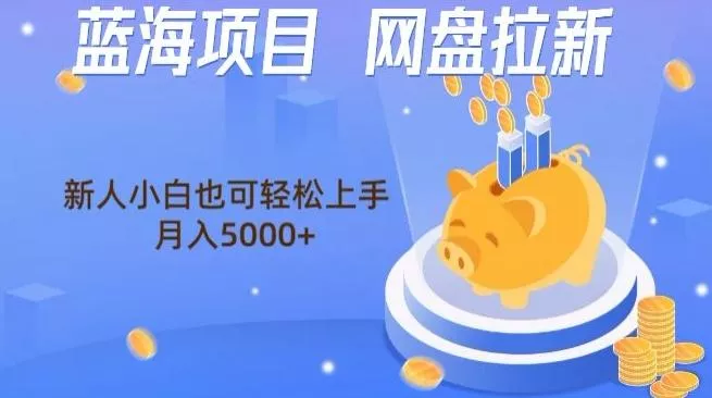 蓝海项目网盘拉新，新人小白也可操作，每月收入5000+-山河网创