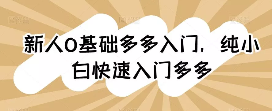 新人0基础多多入门，​纯小白快速入门多多-山河网创