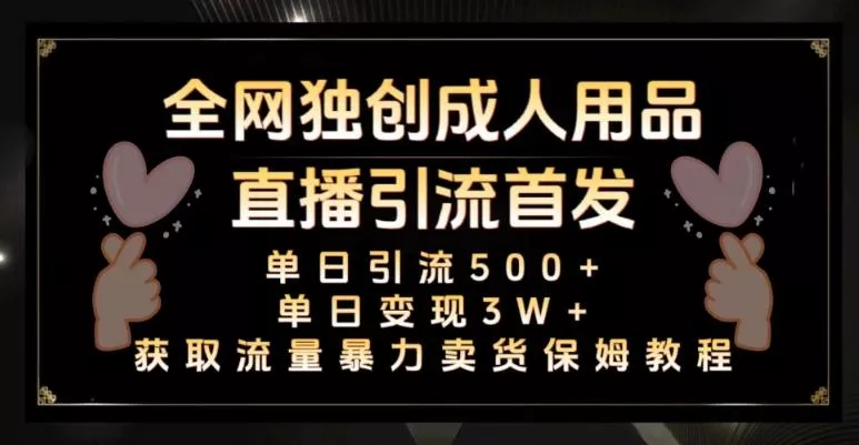 全网独创真人主播+无人直播单日引流500+，橙人用品暴力卖货单日变现3W+保姆似教学2.0【揭秘】-山河网创