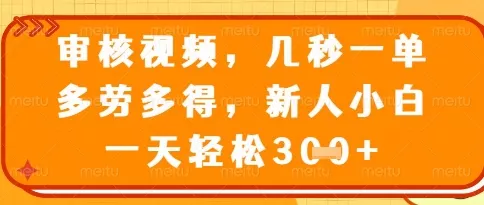 视频审核员，几秒一单，不限时间，不限地点，多做多得，新人小白一天轻松几张+【揭秘】-山河网创