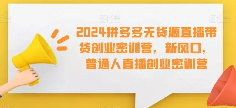 2024拼多多无货源直播带货创业密训营，新风口，普通人直播创业密训营-山河网创