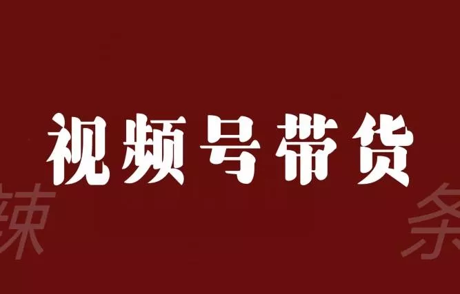 视频号带货联盟，赚信息差的带货钱，只需手机随时随地都可以做！-山河网创