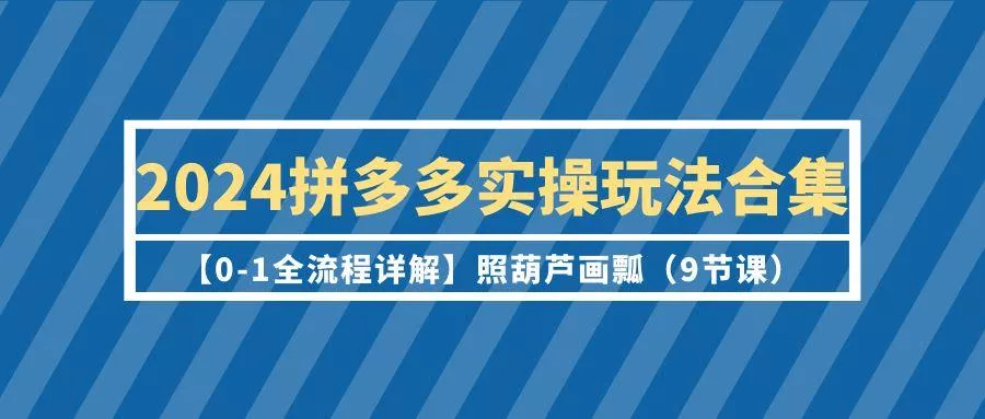 (9559期)2024拼多多实操玩法合集【0-1全流程详解】照葫芦画瓢(9节课)-山河网创