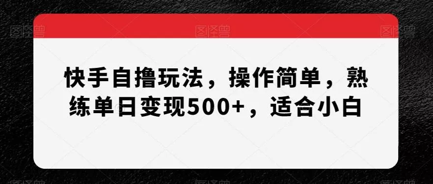 快手自撸玩法，操作简单，熟练单日变现500+，适合小白【揭秘】-山河网创