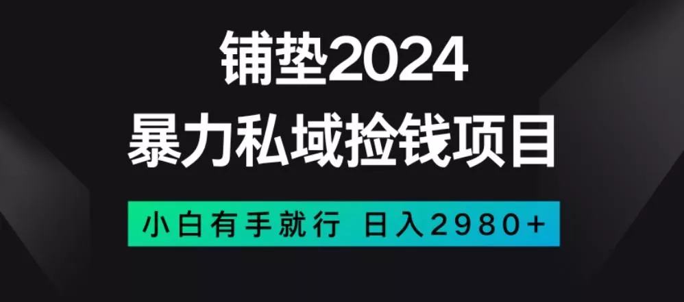 暴力私域捡钱项目，小白无脑操作，日入2980【揭秘】-山河网创
