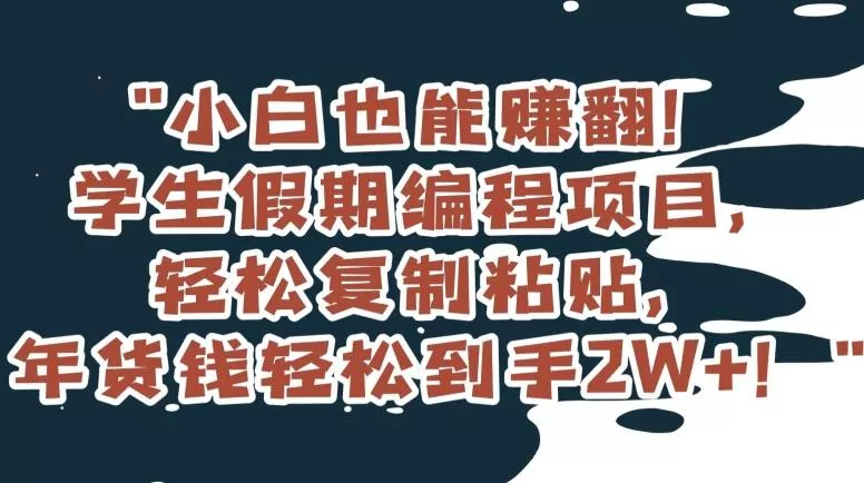 小白也能赚翻！学生假期编程项目，轻松复制粘贴，年货钱轻松到手2W+【揭秘】-山河网创