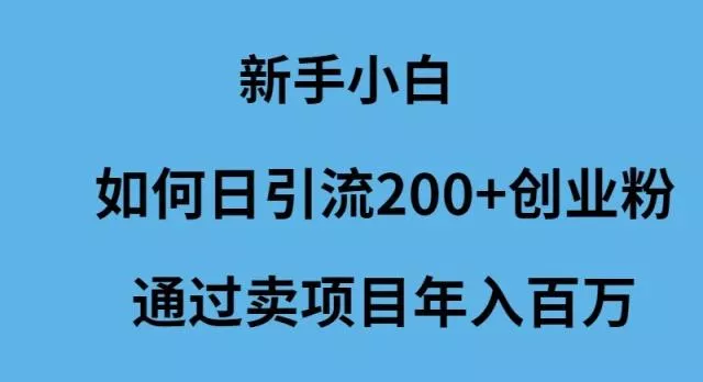 (9668期)新手小白如何日引流200+创业粉通过卖项目年入百万-山河网创