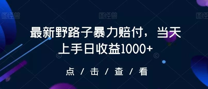 最新野路子暴力赔付，当天上手日收益1000+【仅揭秘】-山河网创