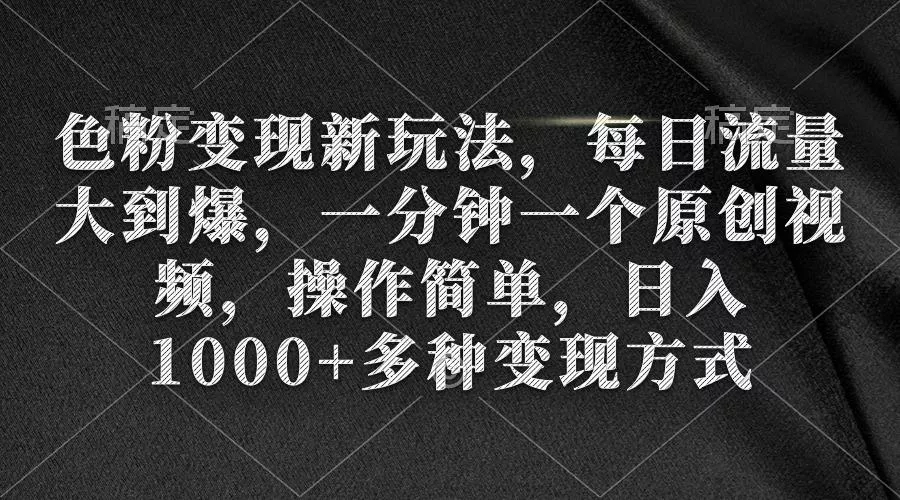 (9282期)色粉变现新玩法，每日流量大到爆，一分钟一个原创视频，操作简单，日入1…-山河网创