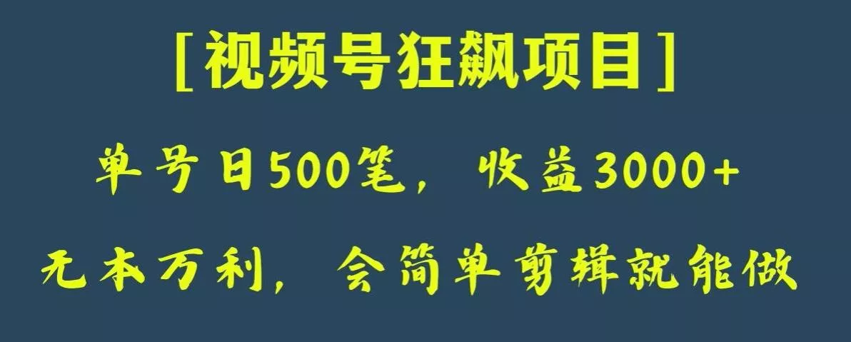 日收款500笔，纯利润3000+，视频号狂飙项目，会简单剪辑就能做【揭秘】-山河网创